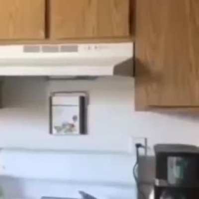 Si