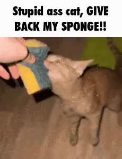 Thas cant Bee happenin!!!!! Snake bog bee Attacked buy a fat