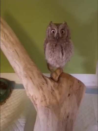 Is this yours?