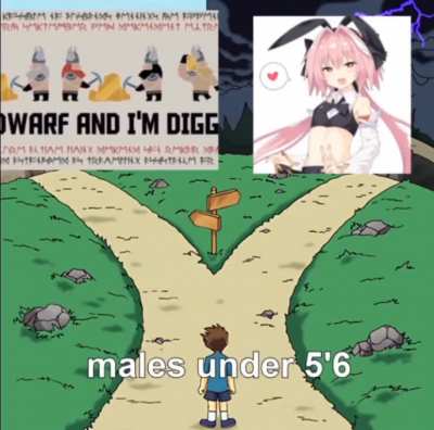 which will you choose