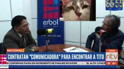 Bolivian minister hires an "interspecies communicator" to find a lost cat