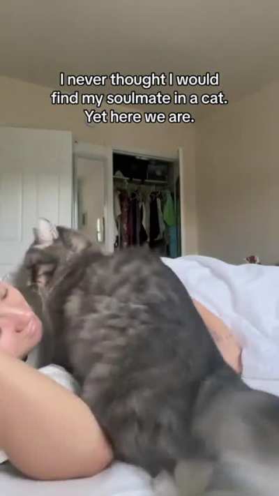 I would never leave my bed