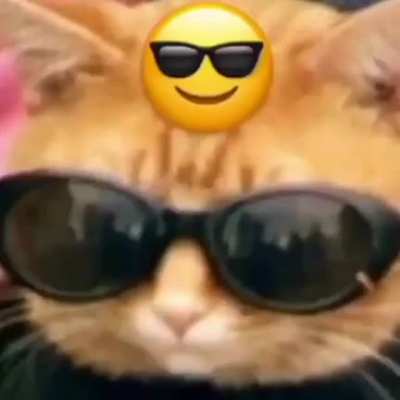 😎