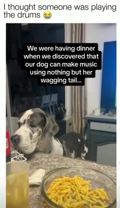 Phil Collins&rsquo; dog perhaps?