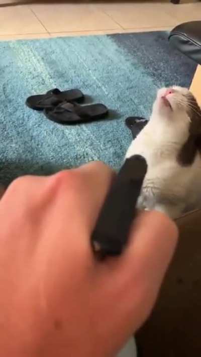 mlems