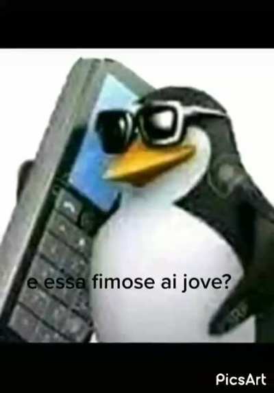 Como &eacute; que t&aacute; 🤔