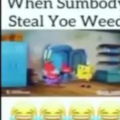 🤣🤣🤣