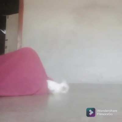 The live-action slugcat experience