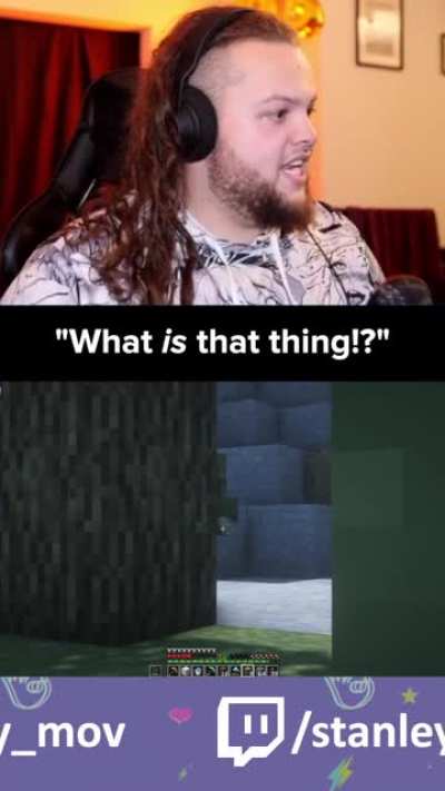 First time seeing a Zombie Villager in Minecraft