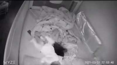 What it&rsquo;s like sleeping with a baby