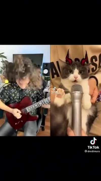 Rock meowsic