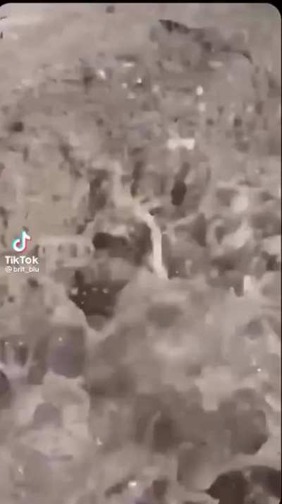 Poseidon got them