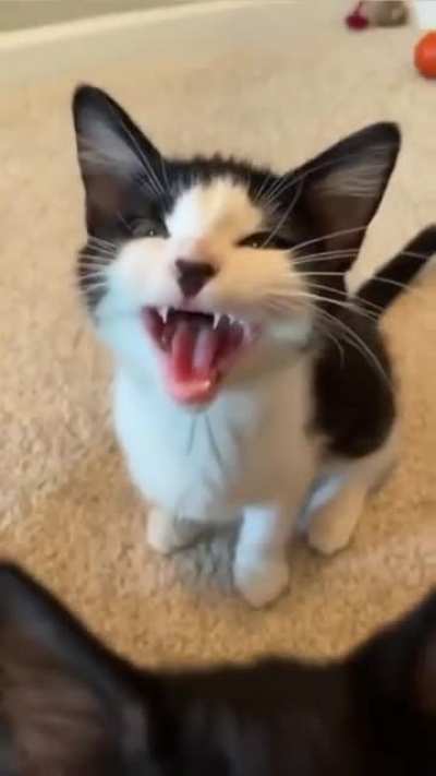 Maybe Maybe Maybe