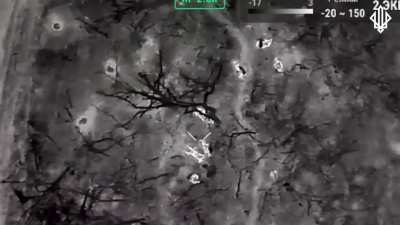 Zaporizhzhia Region: Ukraine's drone group "Spartan" (3rd Brigade, NGU) watches cluster/artillery strikes stop an attempted Russian assault. Ukrainian drones then target the surviving Russians with munition drops. Jan. 29 post
