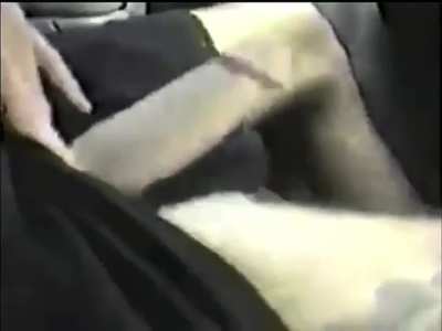 Tommy Lee&rsquo;s thick floppy cock