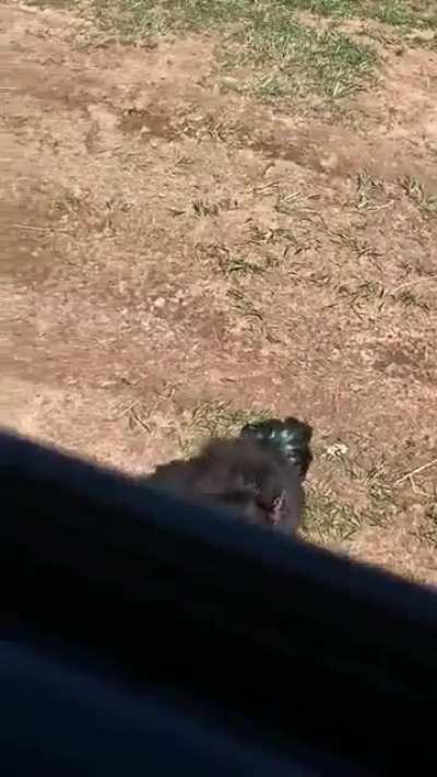 Mom&rsquo;s home! Mom&rsquo;s home!