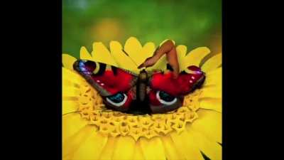 This butterfly bodypaint and costume