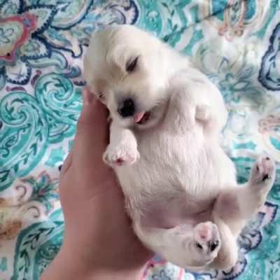 Wiggle beans, little yawns, &amp;amp; pure bliss.
