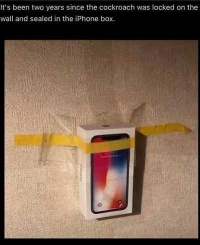 xd