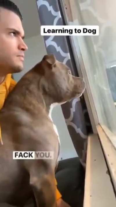 How to dog
