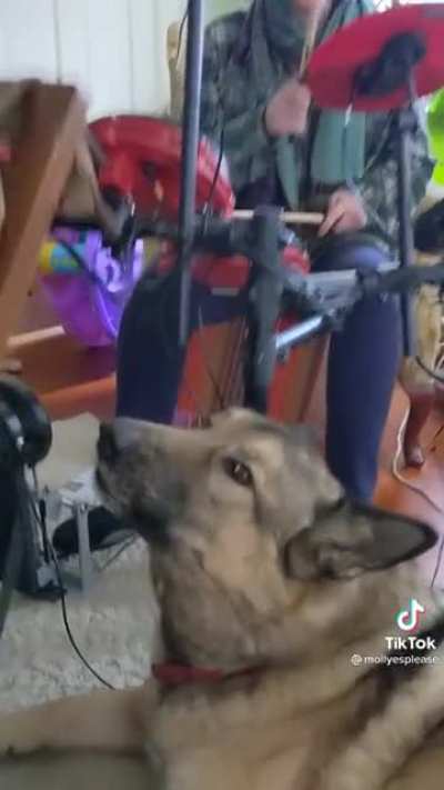 How can I hire this band?