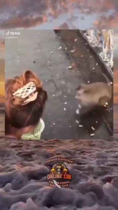 Mildly inappropriate compilation
