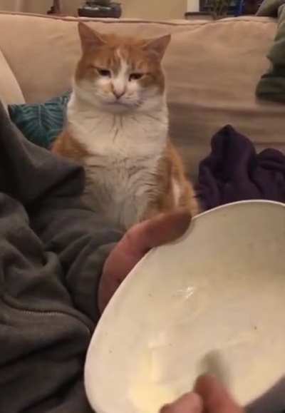 Human didn't share