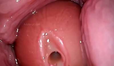 Great Angle !! Internal CumShot