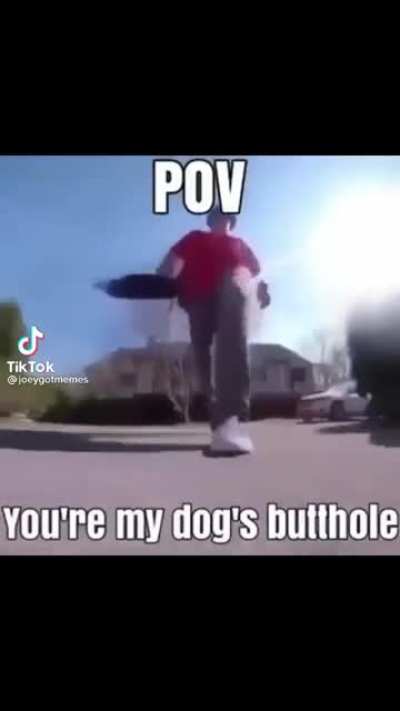 Good boy