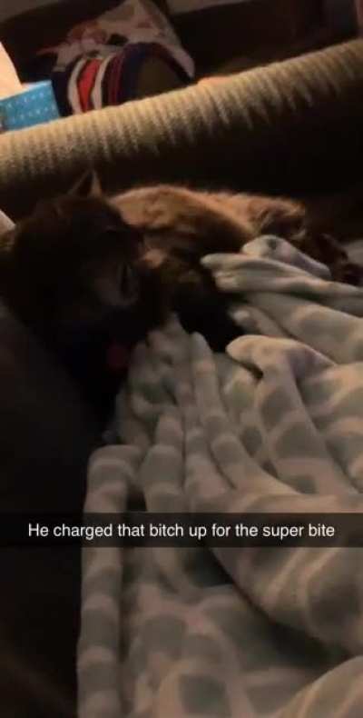 Chomp