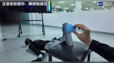 Wearable touch-sensing fabrics: the next step for humanoid robots, to feel... and respond accordingly