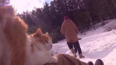 All this snow outside has reminded me of my favorite video in existence