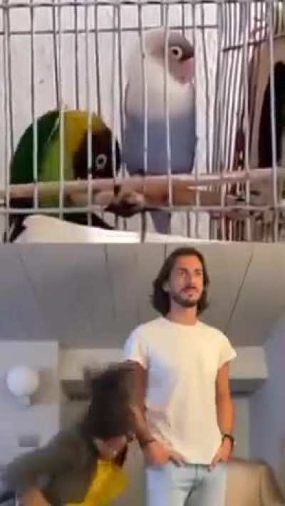 lol