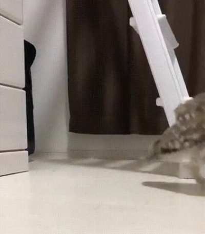 Sneaking into the kitchen at 3am