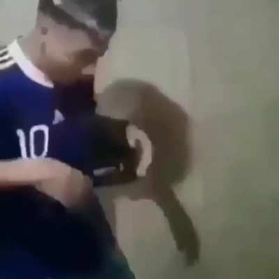Yo
