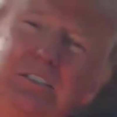 They didn't include this in the job description for protecting the President of the United States