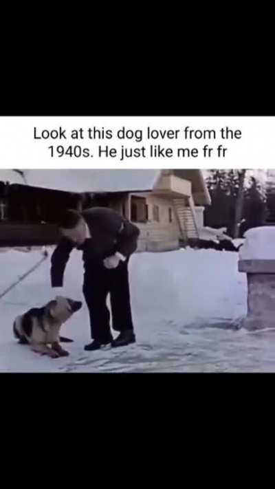 And they say Europe isn't pet friendly!