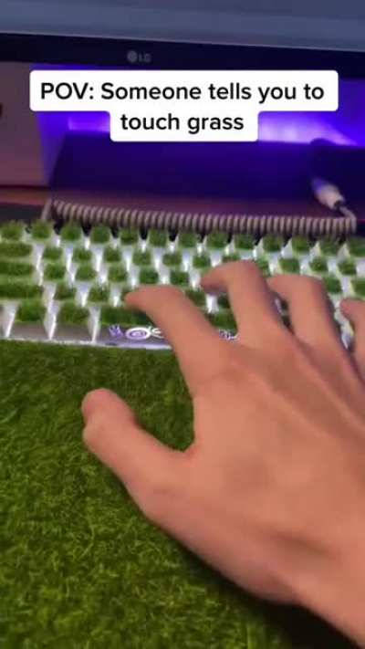 grass is all i touch🗿
