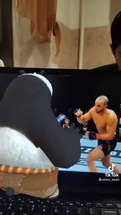 🐼