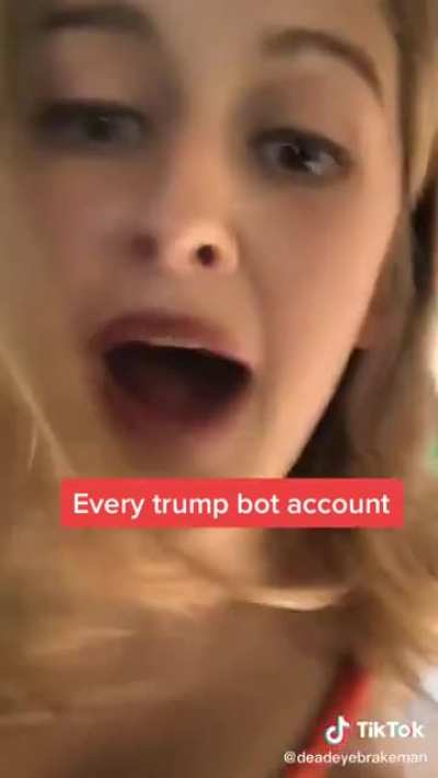 Every Trump bot account