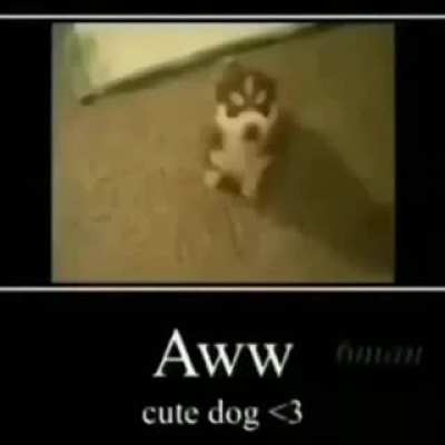 &amp;gt;:(