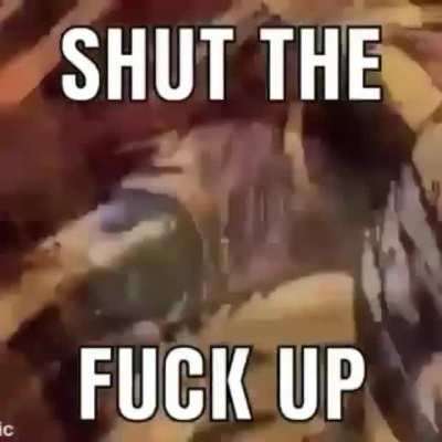 Da