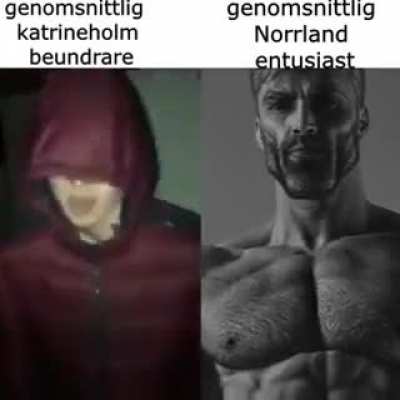J&auml;drans kattrineholm 🤬😡🤬🤬🤬