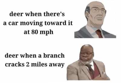 Deer be like