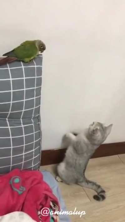 Best Actor Award goes to-