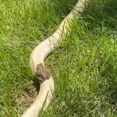 Hmm