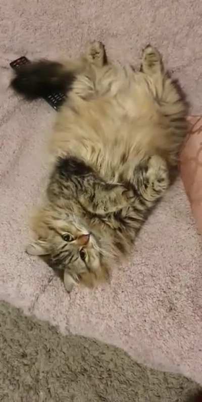 Does this count?