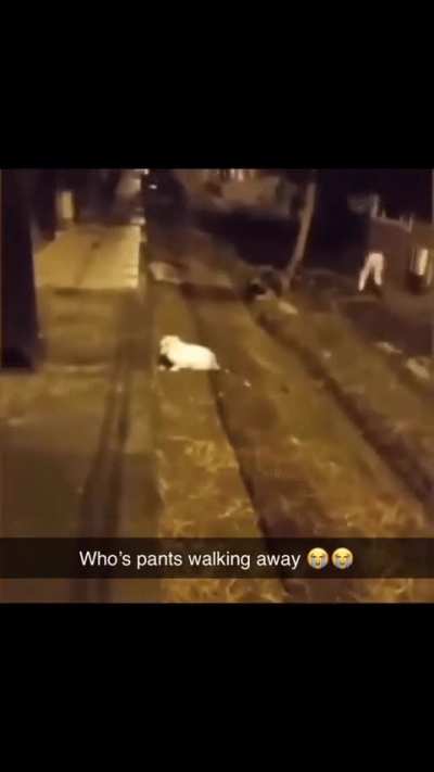 Go looking for jo