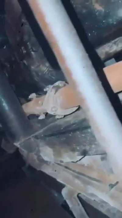 Fixing car video