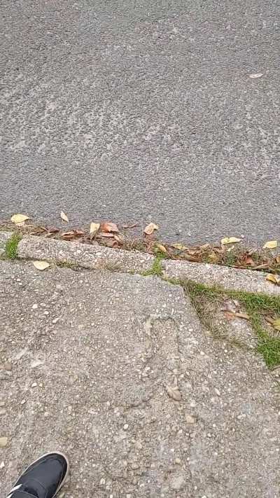 It was a slippery